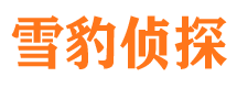 兴业市侦探调查公司